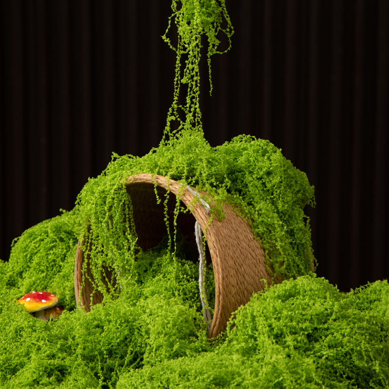 Bonsai Garden Ideas - 200g Mech Wiecznego Życia DIY Rękodzieło