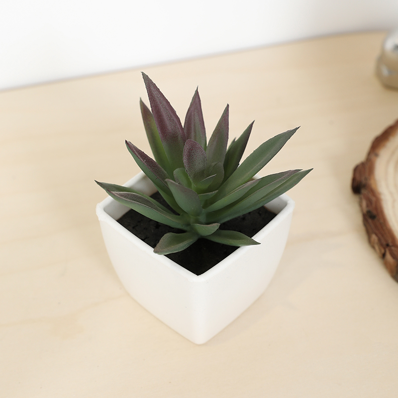 Bonsai Garden Ideas - Mini sztuczny soczysty kubek wróżki mała