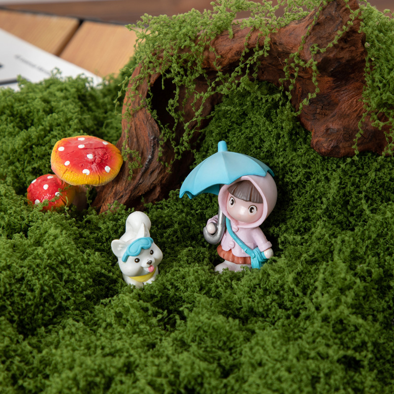 200g Mech Wiecznego Życia DIY  – Bonsai Garden Ideas recenzja i cena