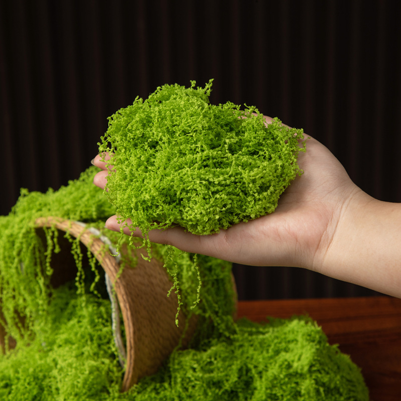 200g Mech Wiecznego Życia DIY  – Bonsai Garden Ideas recenzja i cena