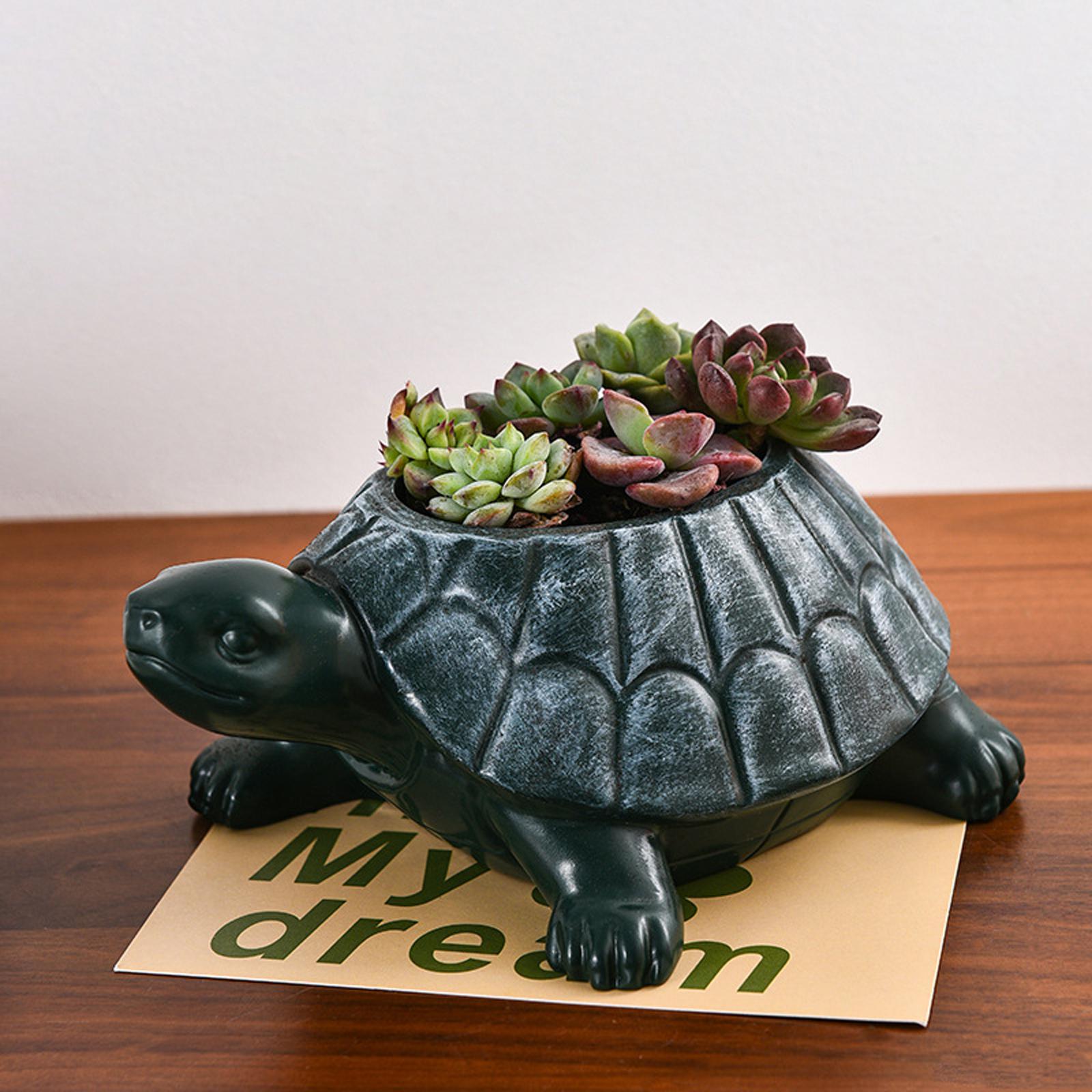 Doniczka w kształcie żółwia, k – Bonsai Garden And Cafe recenzja i cena