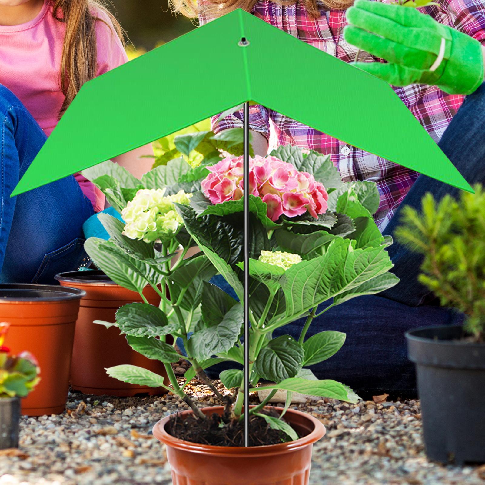 Parasol do roślin, osłona prze – Bonsai Garden And Cafe recenzja i cena