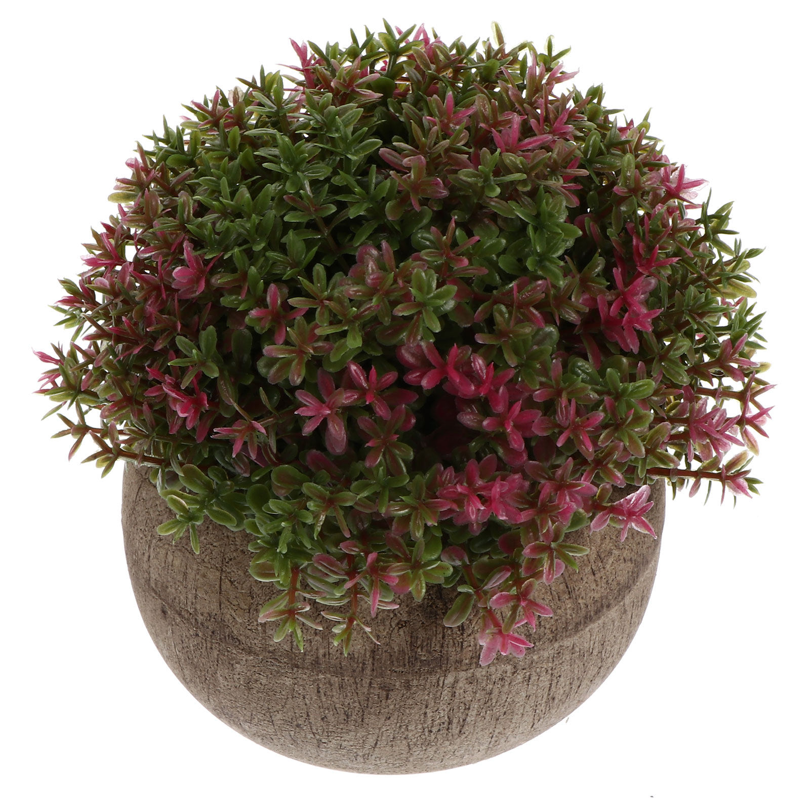Miniaturowa plastikowa bonsai, – Bonsai Garden And Cafe recenzja i cena