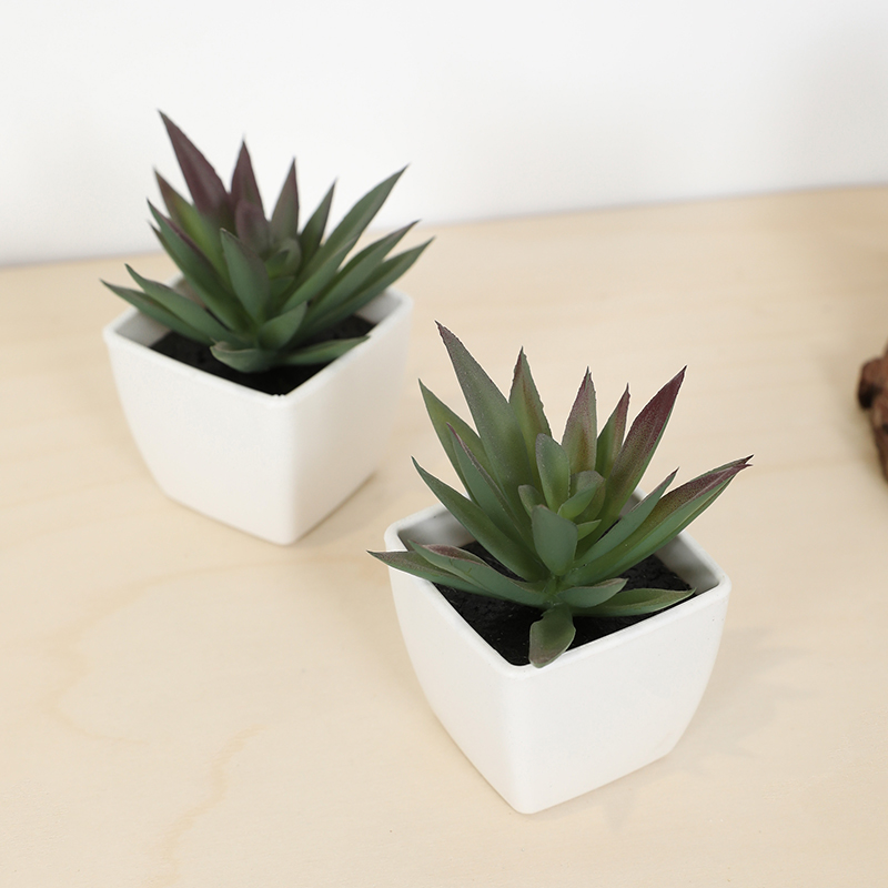 Mini sztuczny soczysty kubek w – Bonsai Garden Ideas recenzja i cena