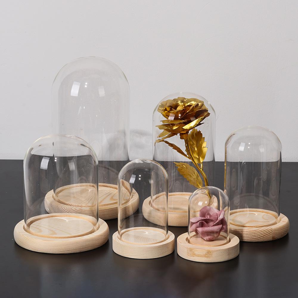 Szklany klosz, stojak ekspozyc – Display Stand Wood recenzja i cena