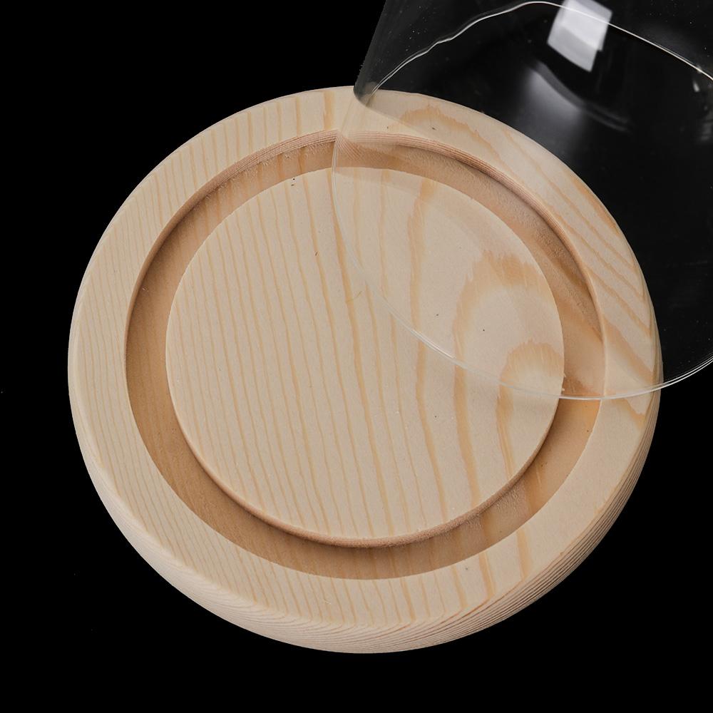 Szklany klosz, stojak ekspozyc – Display Stand Wood recenzja i cena
